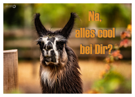  - Eva Nagler Photography