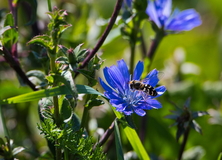 Frühling