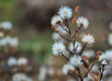 Frühling