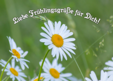 Frühling