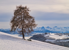 Weihnachten Lustig